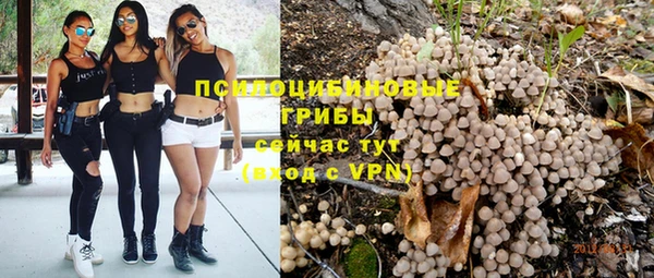 прущий лед Алексеевка