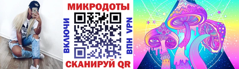где найти   Алзамай  Галлюциногенные грибы прущие грибы 